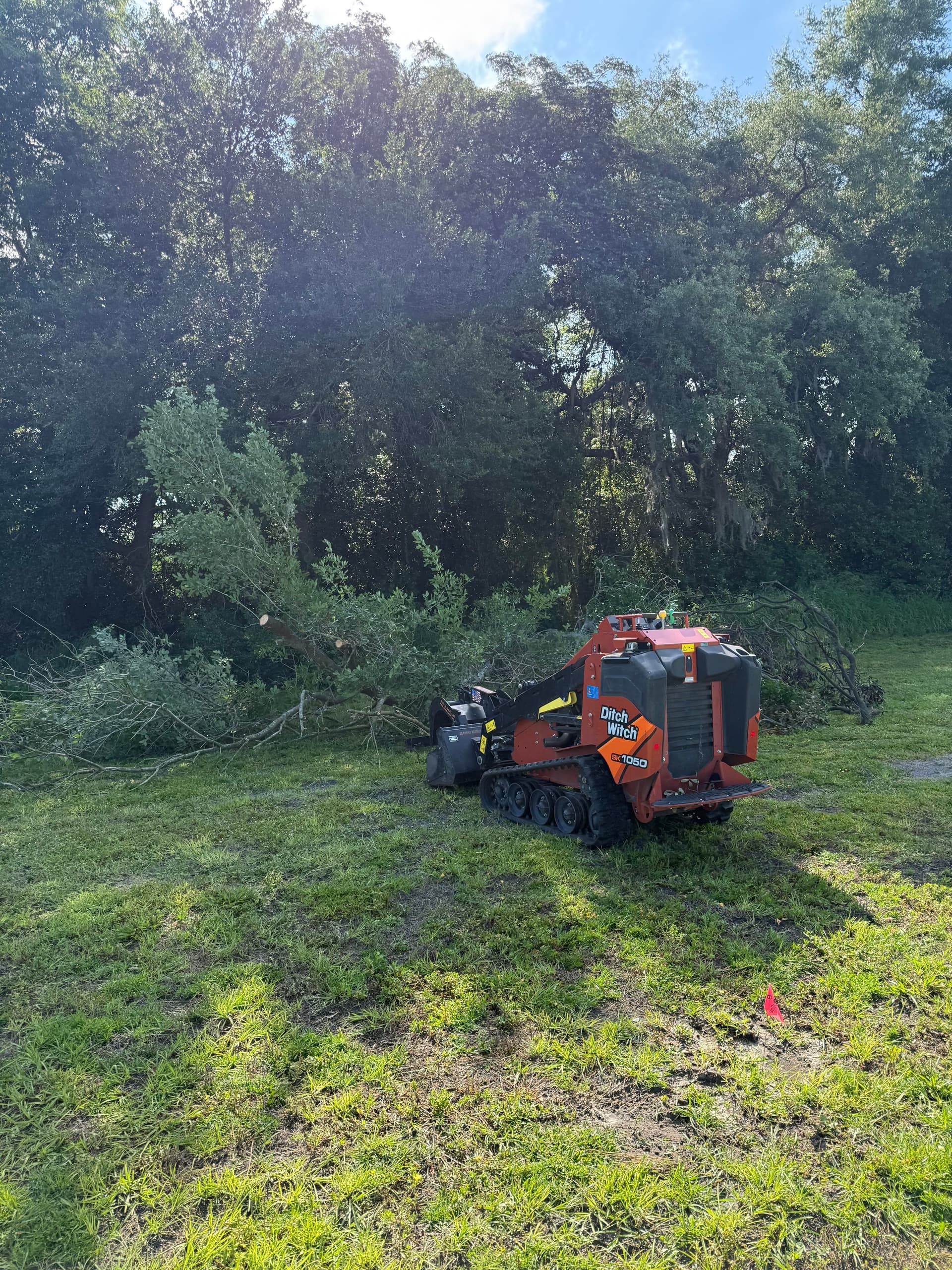 Overgrown Tree Line and Debris Cleanup in Odessa