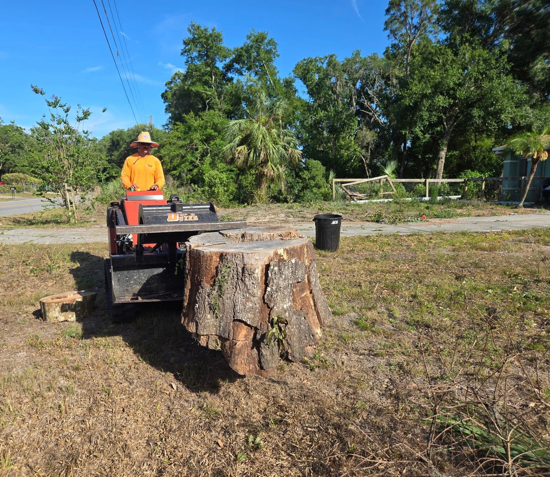 Oak Tree Removal and Full Debris Haul-Off in New Port Richey