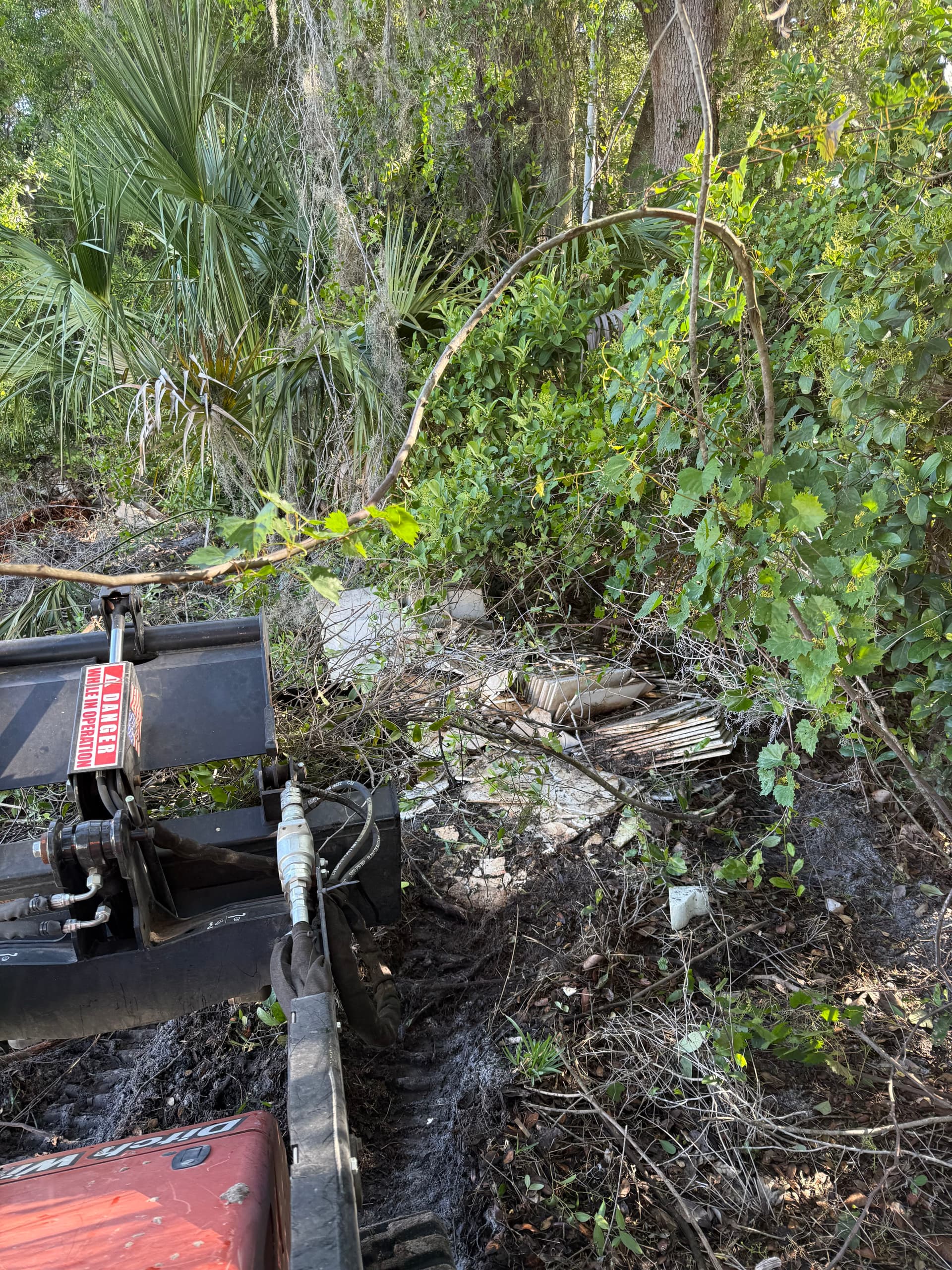 Overgrown Tree Line and Debris Cleanup in Odessa