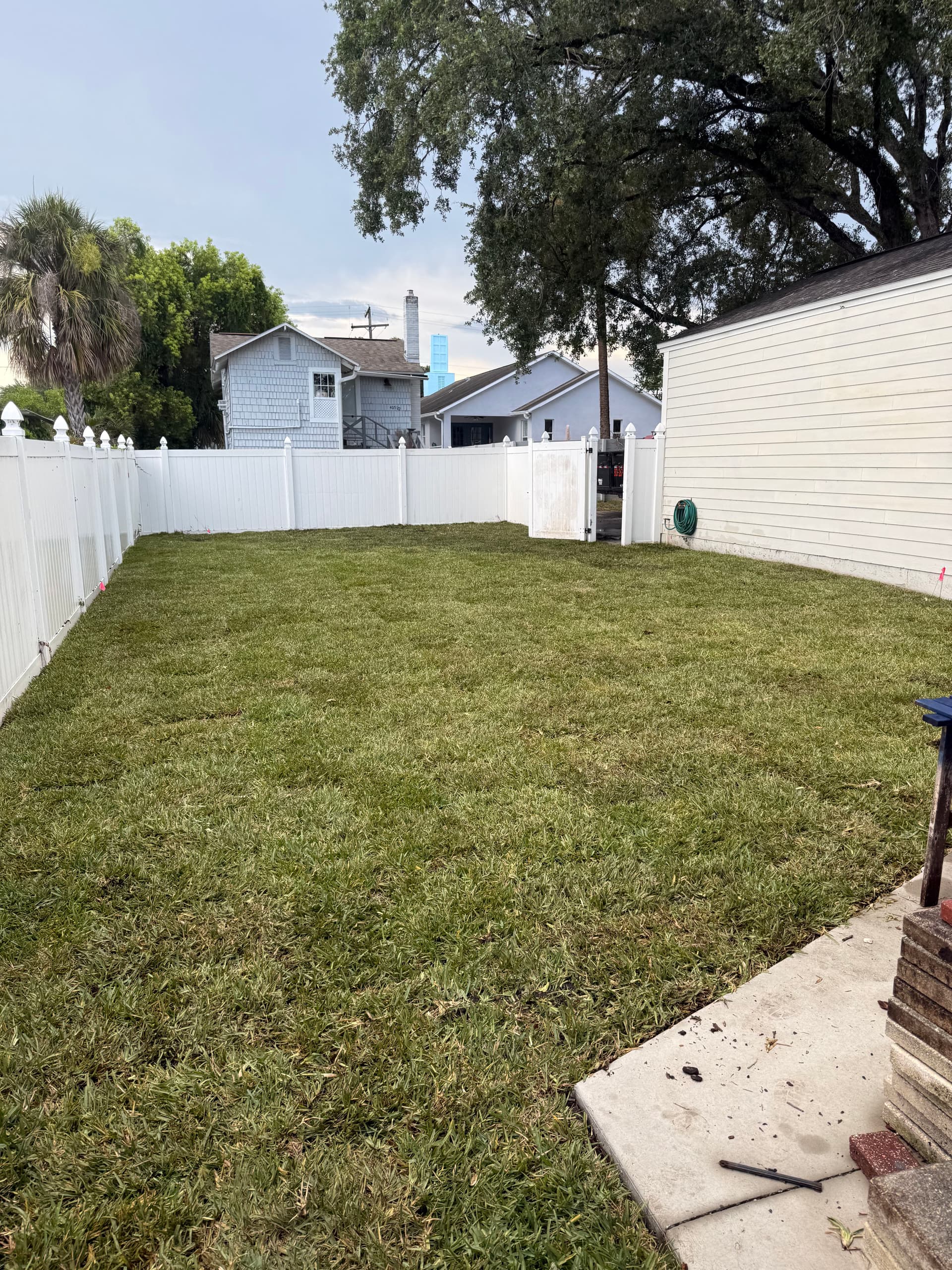 Gallery photos for From Bare Dirt to Green Grass - Tampa Sod Install: Image #6