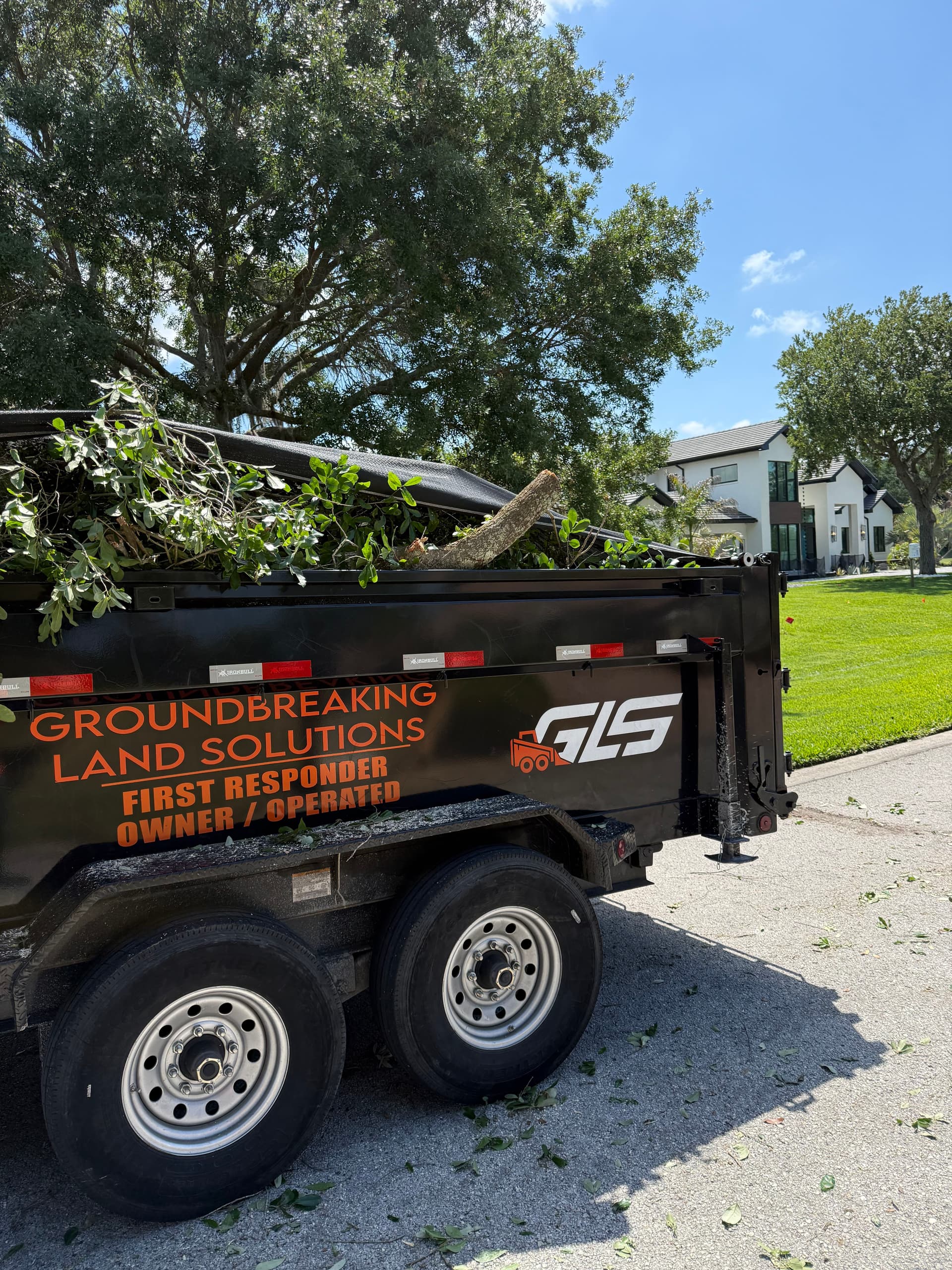 Overgrown Tree Line and Debris Cleanup in Odessa