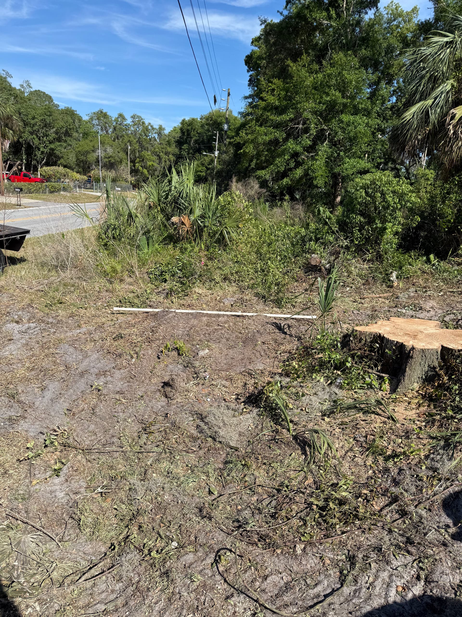 Gallery photos for Oak Tree Removal and Full Debris Haul-Off in New Port Richey: Image #4