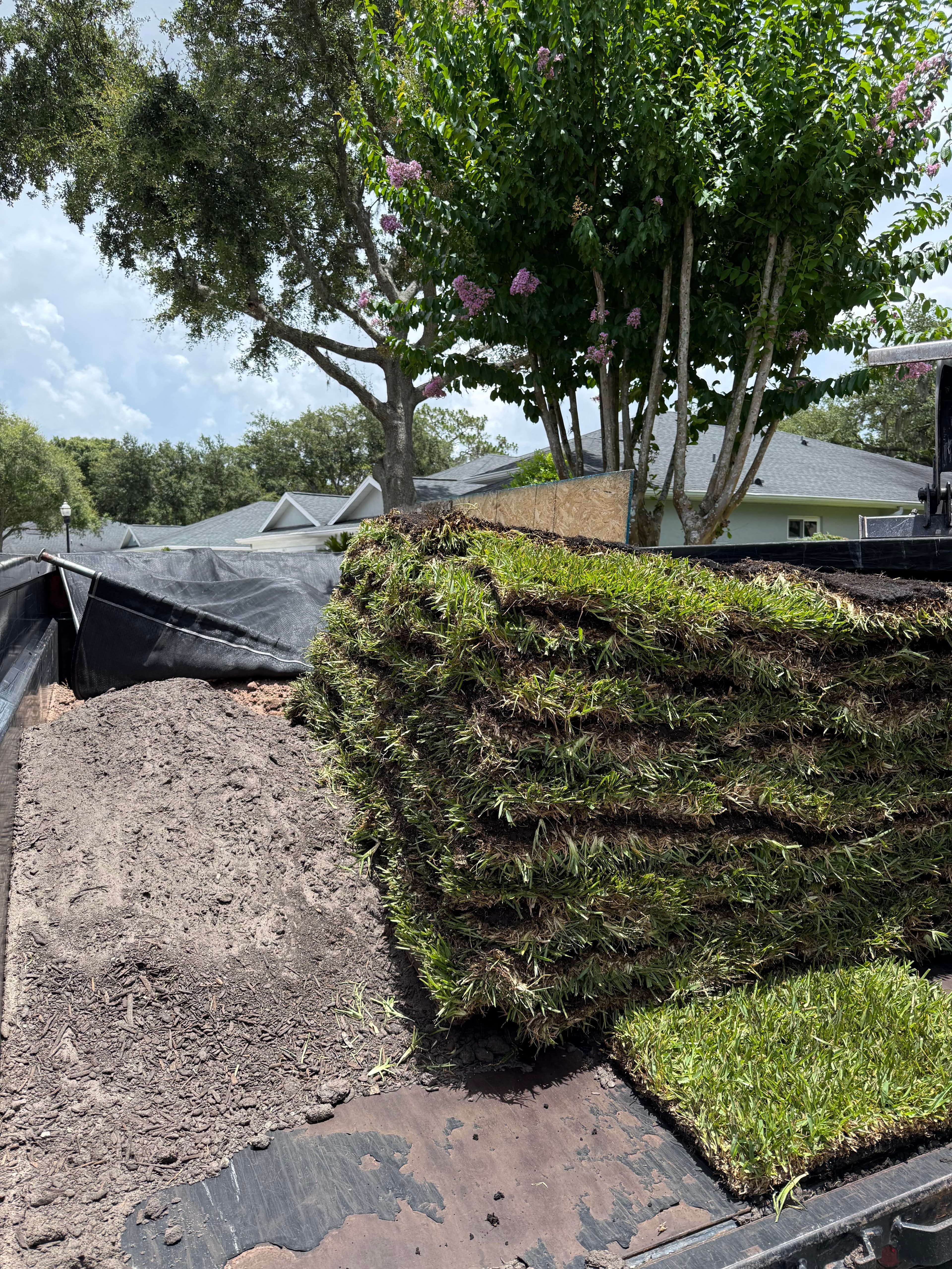 Project Tampa HOA Erosion Repair and St. Augustine Sod Installation image