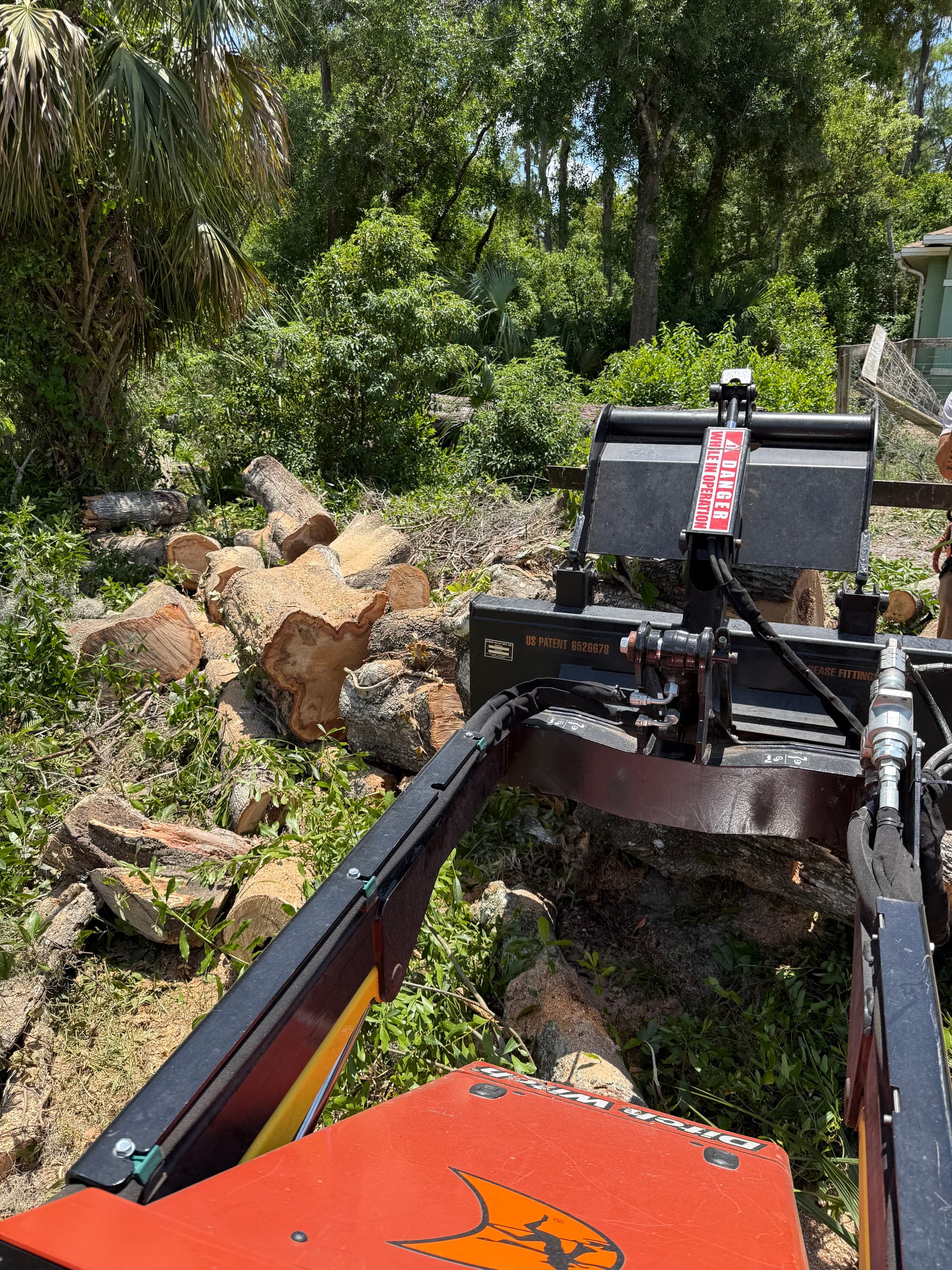 Oak Tree Removal and Full Debris Haul-Off in New Port Richey
