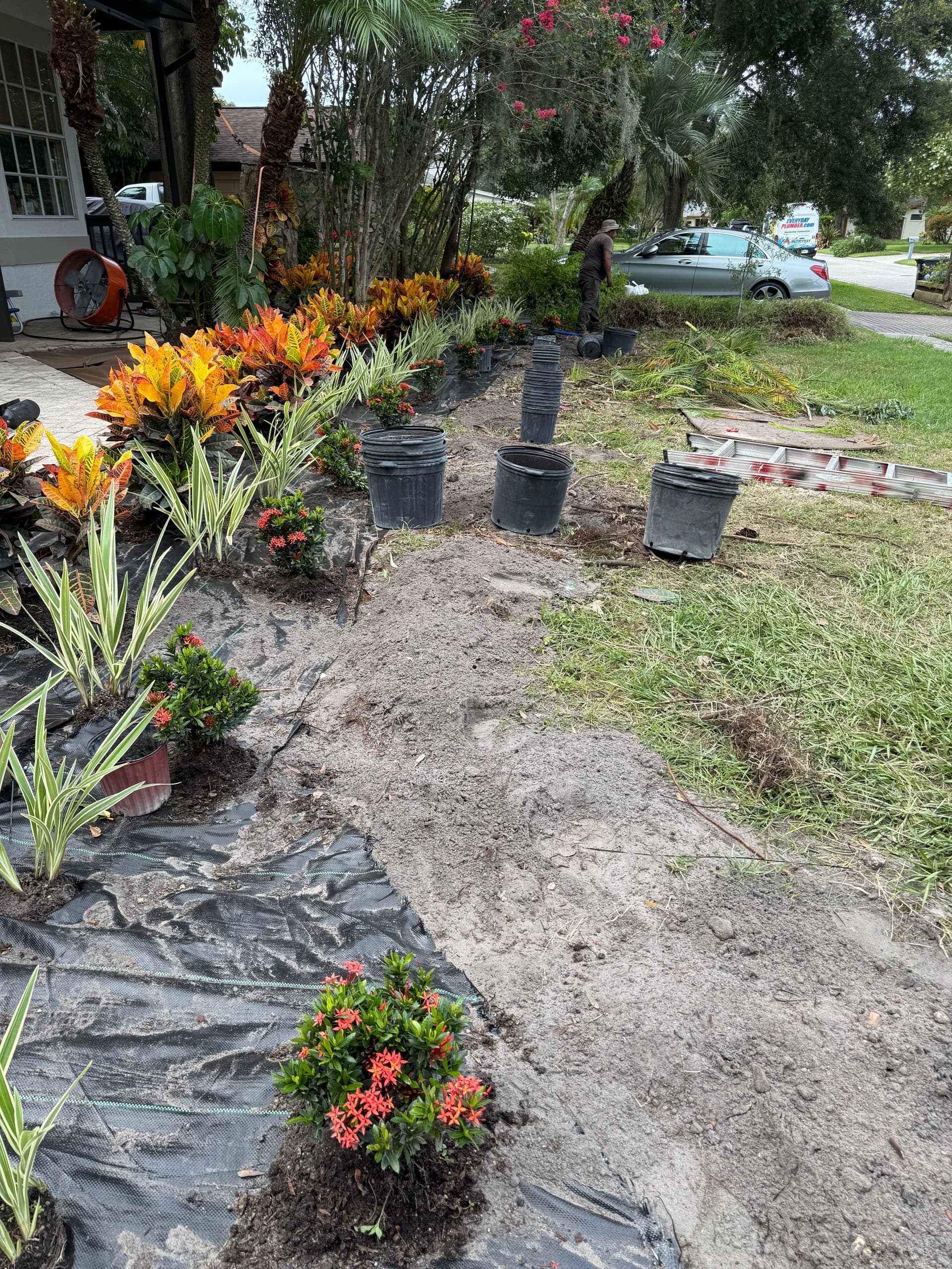 Gallery photos for Landscaping Excellence in Tampa: Image #2