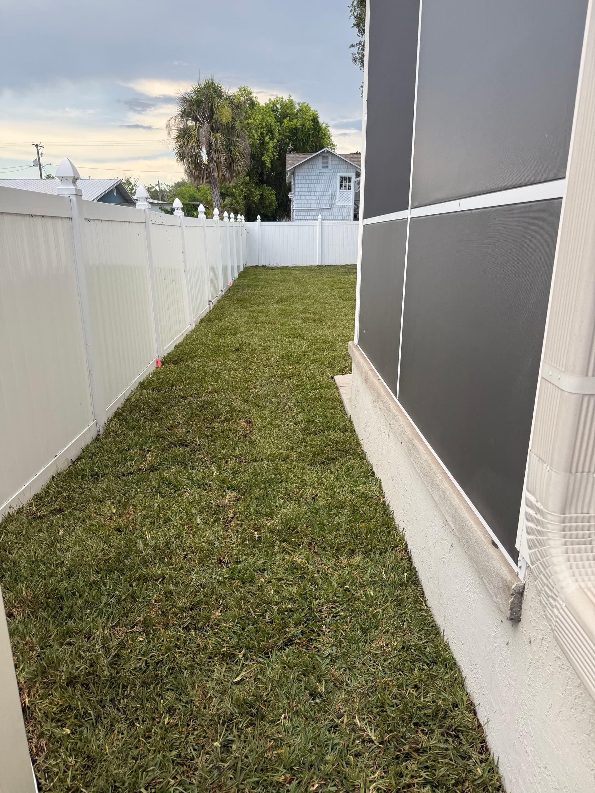 Gallery photos for From Bare Dirt to Green Grass - Tampa Sod Install: Image #5