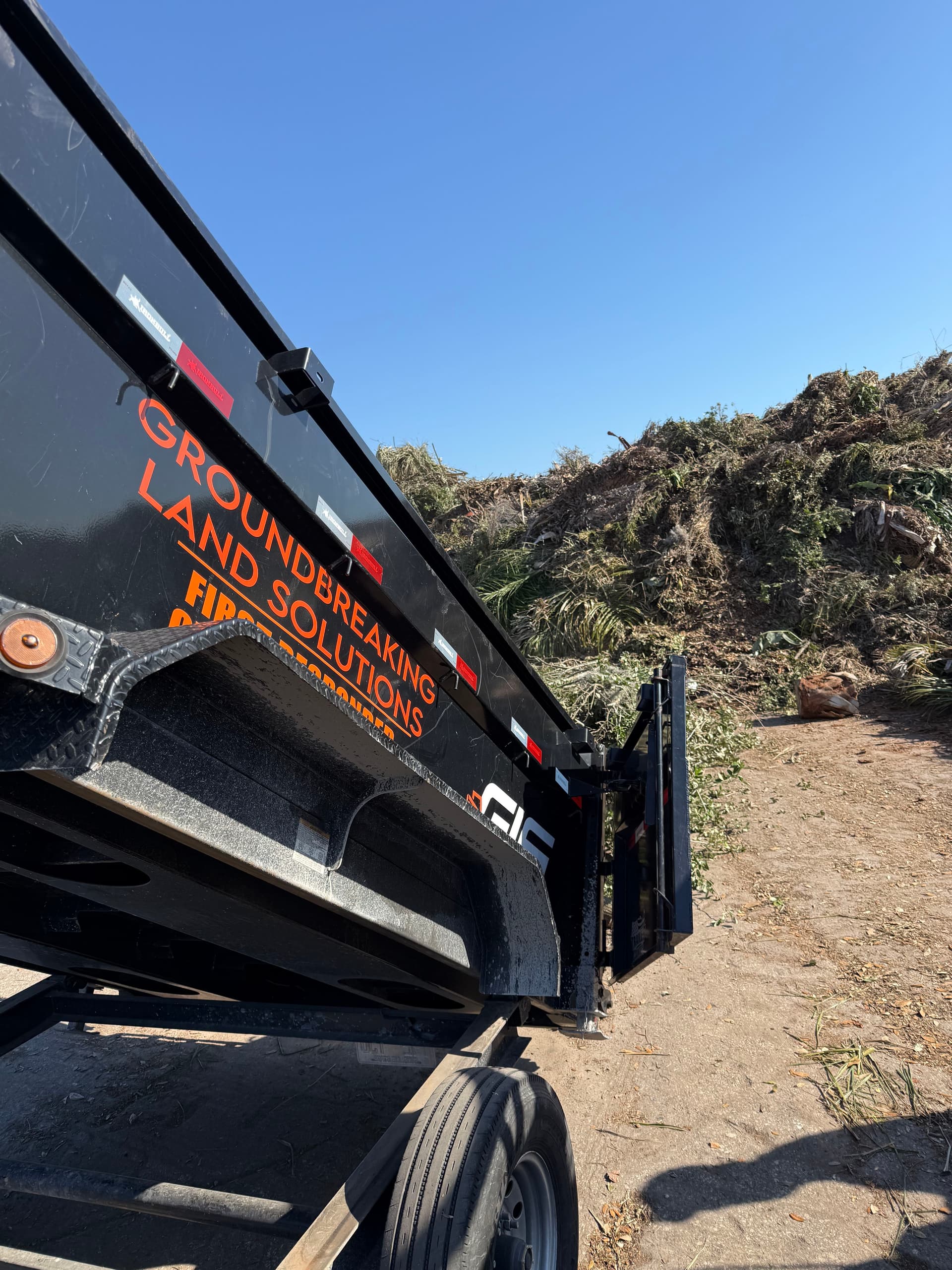 Tree Trimming and Debris Cleanup in Clearwater Florida