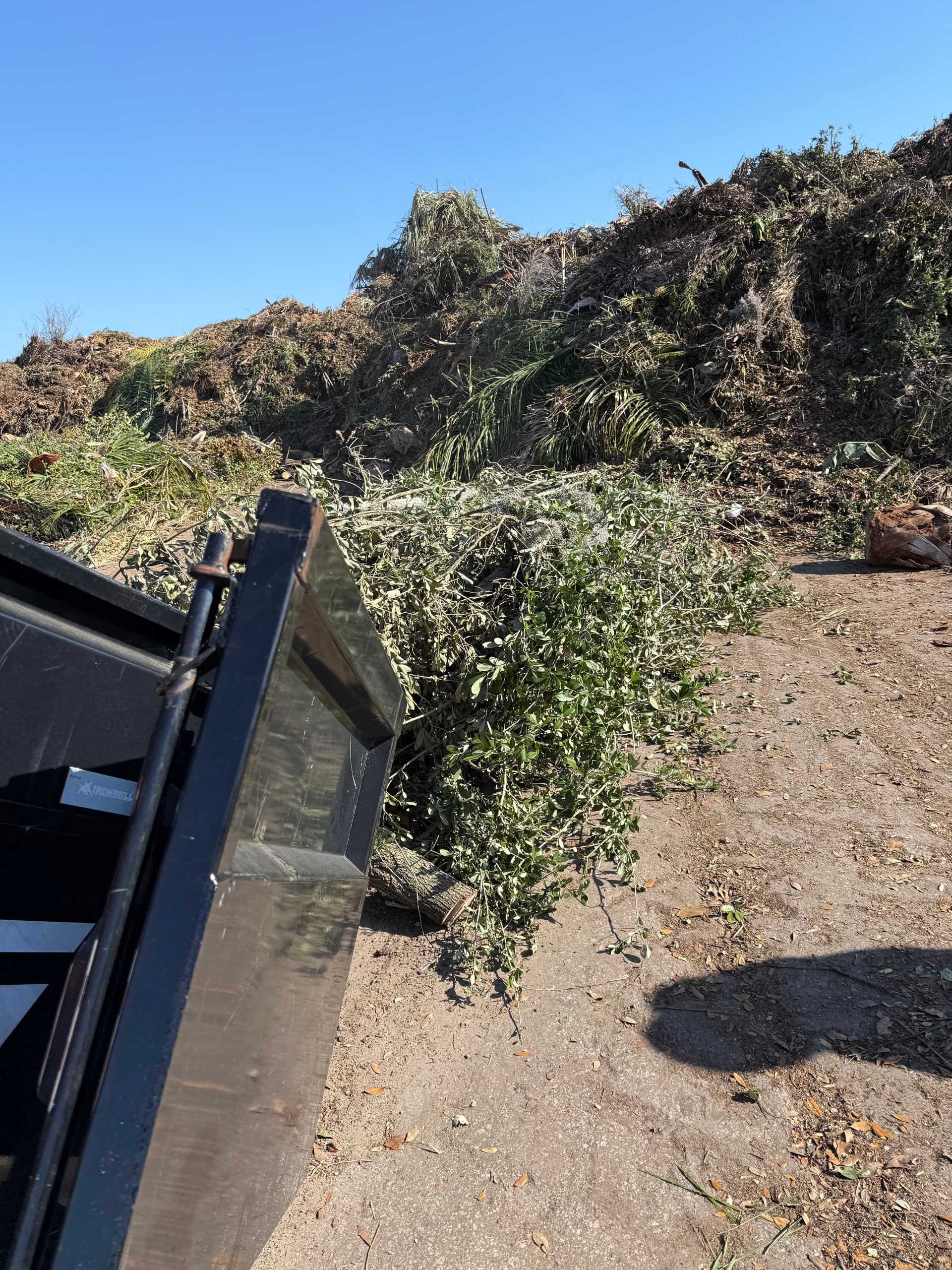 Gallery photos for Tree Trimming and Debris Cleanup in Clearwater Florida: Image #3