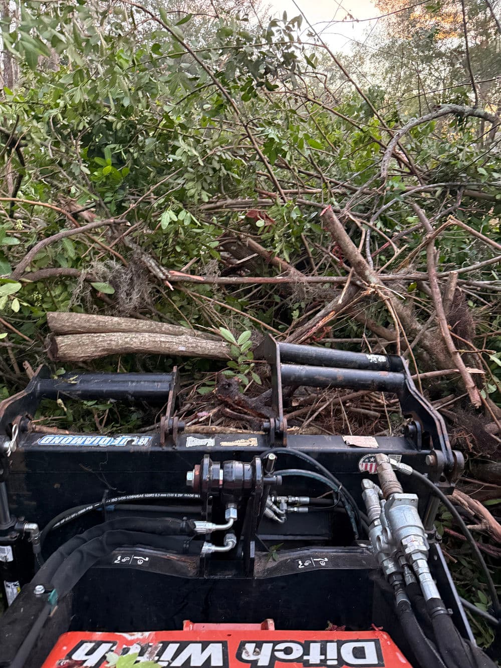 View from a land clearing machine pushing through dense underbrush and fallen branches.