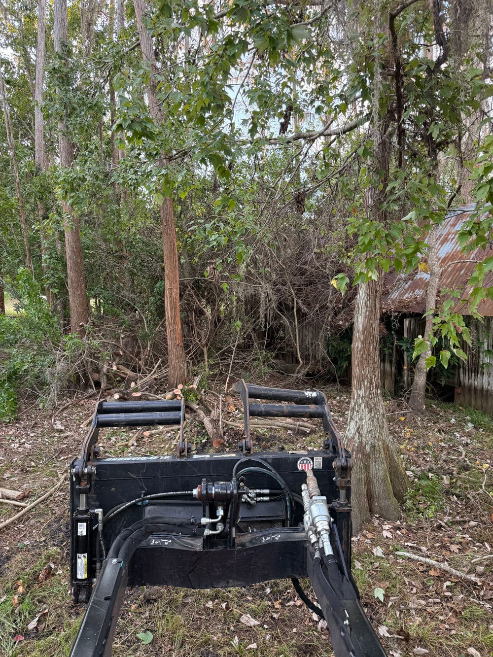 Heavy-duty machinery clearing dense vegetation in a wooded area with old structures visible.