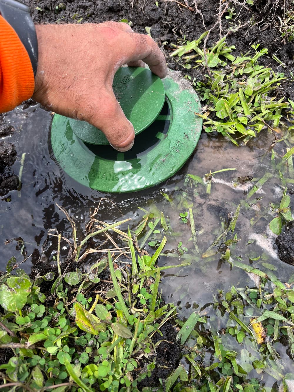 Hand opening a green irrigation valve in a wet grassy area.