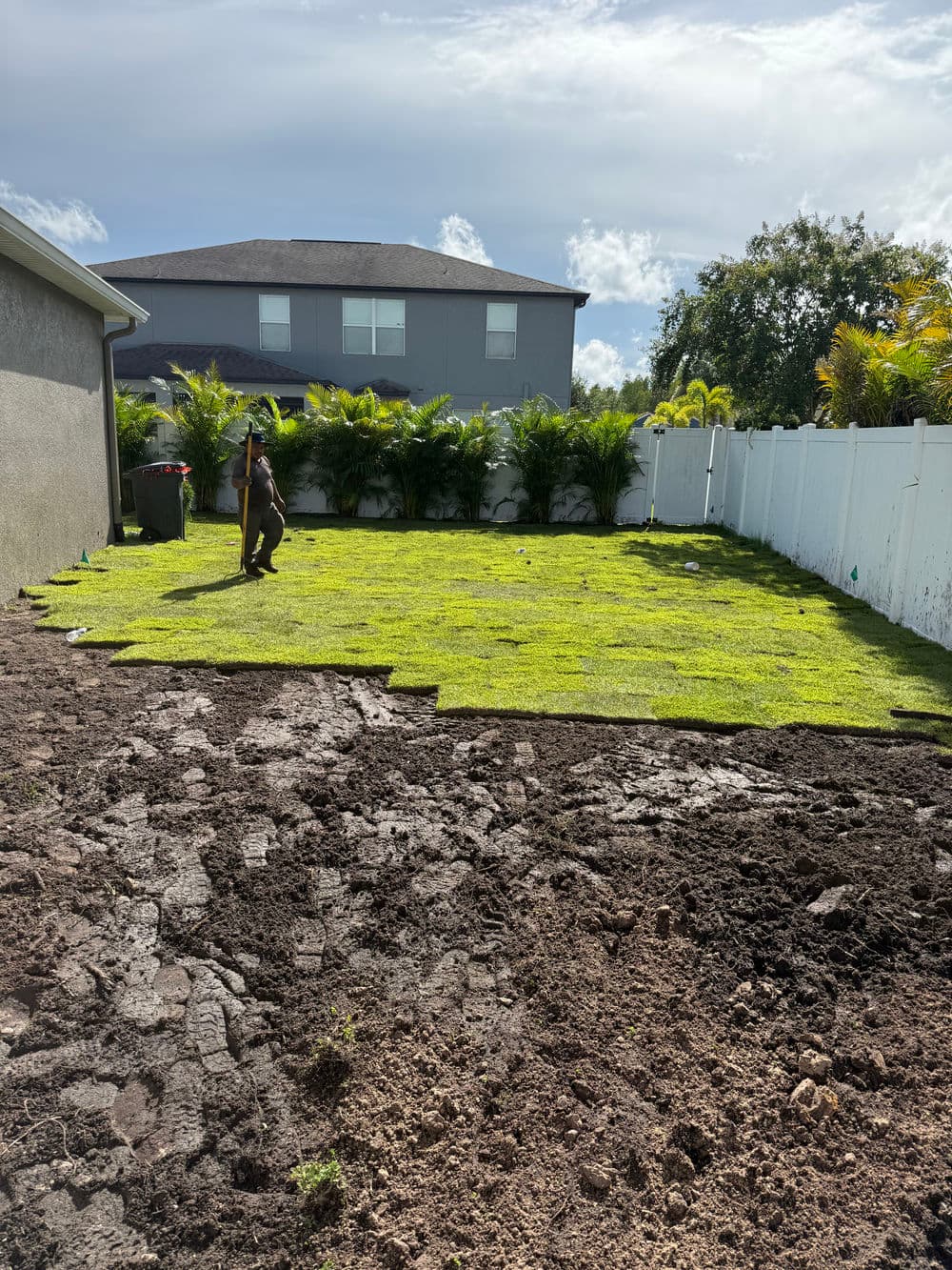 Lush green sod being installed in a backyard with patches of dirt and cloudy sky.