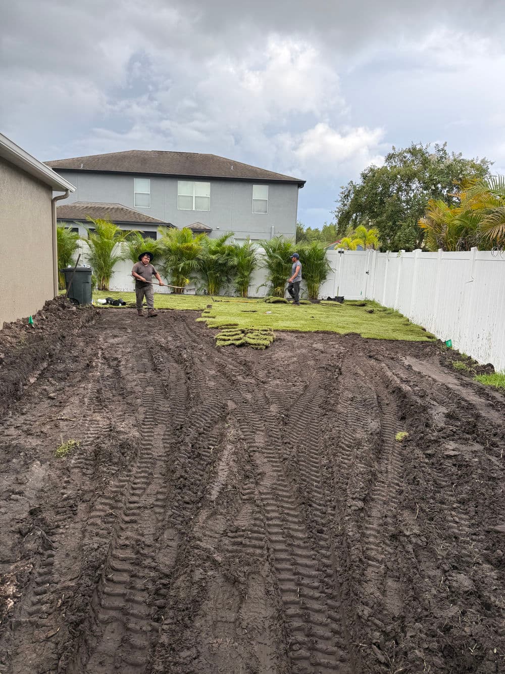 Workers laying sod in a muddy backyard with tire tracks and palm trees in the background.