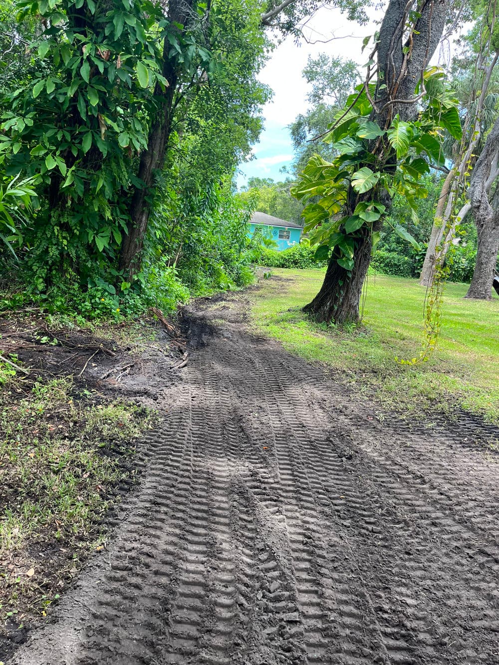 Dirt path through lush greenery leading to a house in the background, showcasing nature.