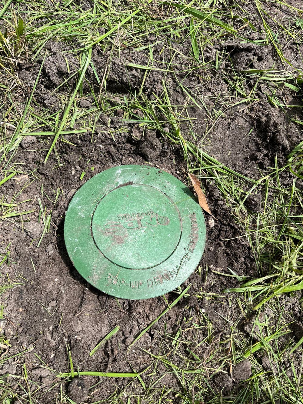 Green pop-up drain cover partially buried in dirt and grass.