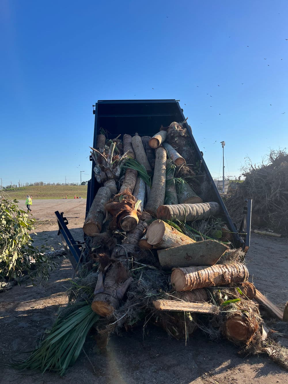 Dump truck full of logs and green waste ready for disposal under a clear blue sky.