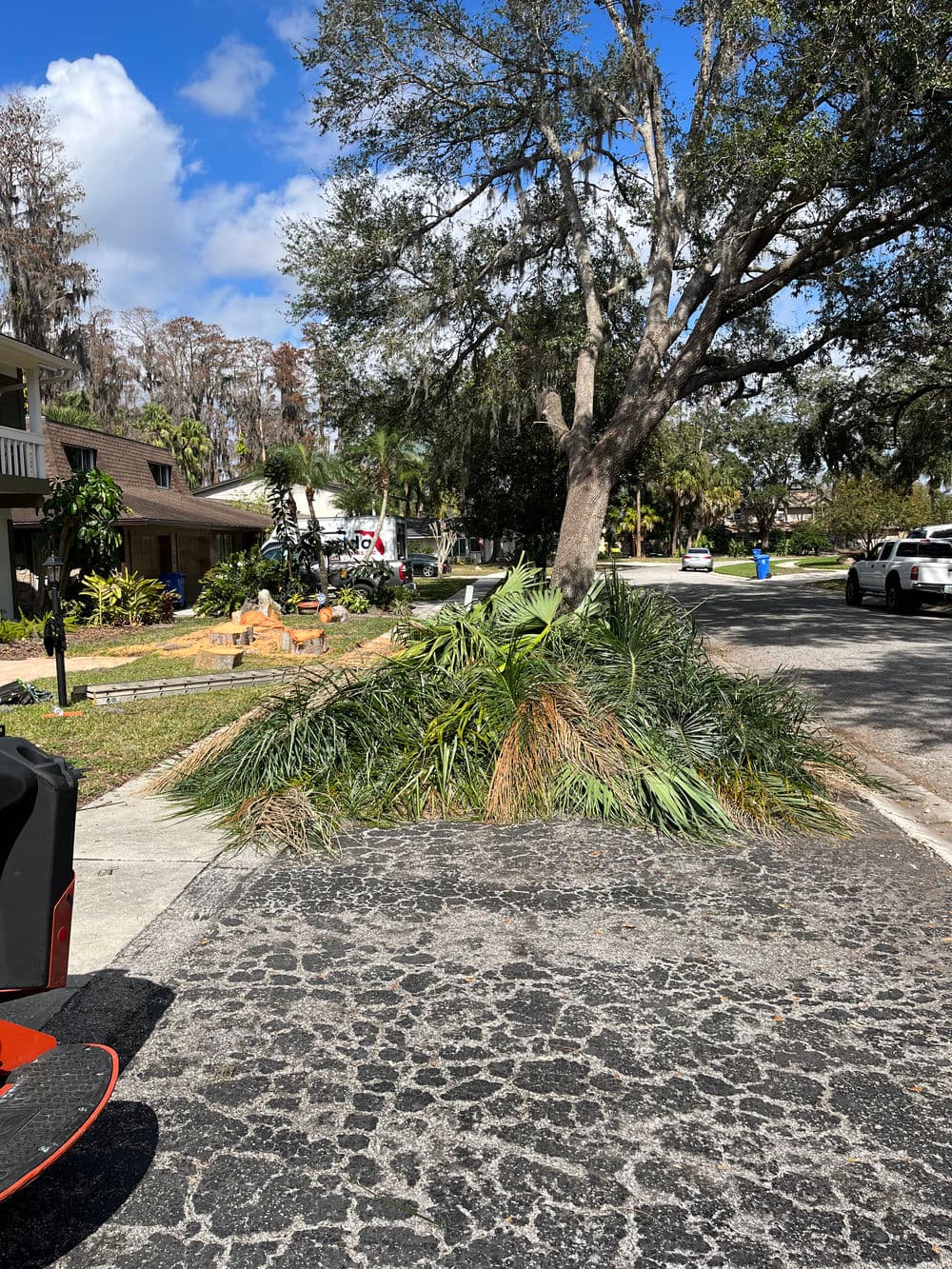 Palm fronds piled on a residential street with trees and clear blue sky in the background.