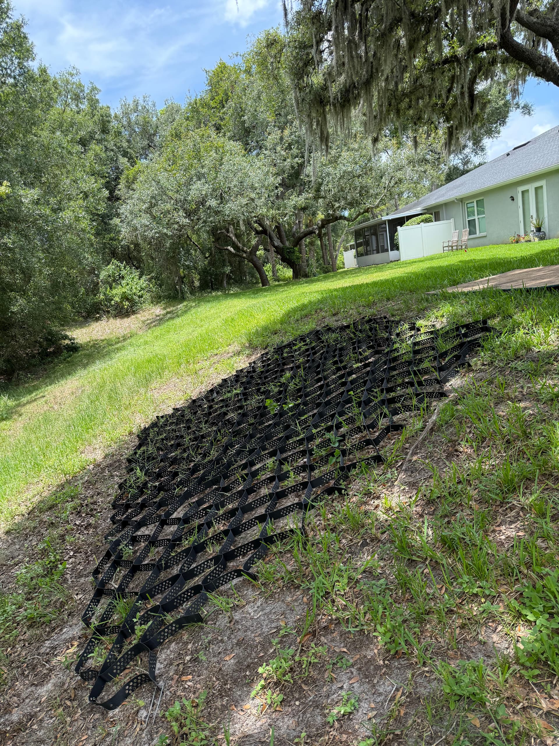 Gallery photos for Tampa HOA Erosion Repair and St. Augustine Sod Installation: Image #2