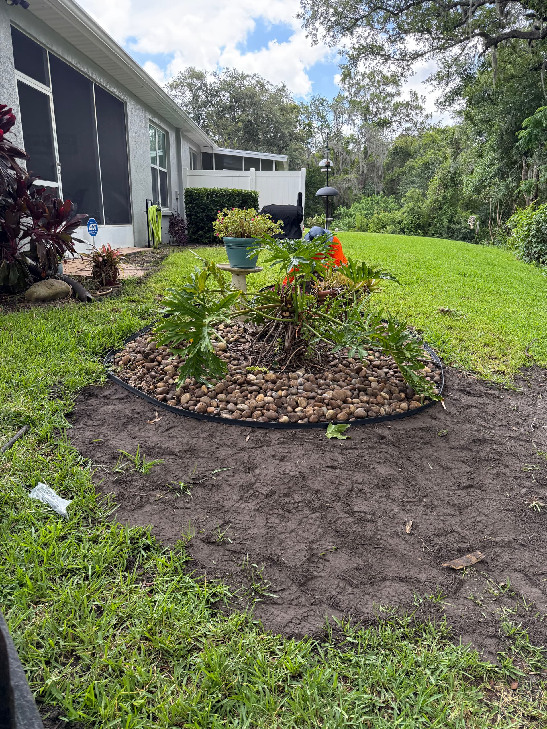 Gallery photos for Tampa HOA Erosion Repair and St. Augustine Sod Installation: Image #1